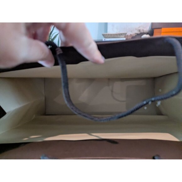 Louis Vuitton Champs-Élysées 100 Ans Brown Paper Shopping Bag W Rope Handles 16 - Picture 7 of 13
